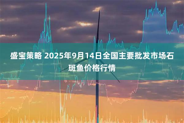 盛宝策略 2025年9月14日全国主要批发市场石斑鱼价格行情